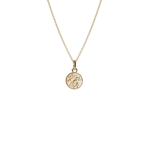 Evolve Tui Coin Necklace