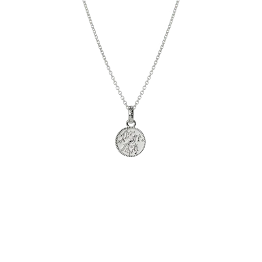 Evolve Tui Coin Necklace