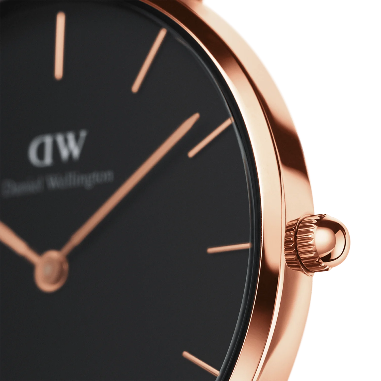 DW Petite Bondi Watch 28mm