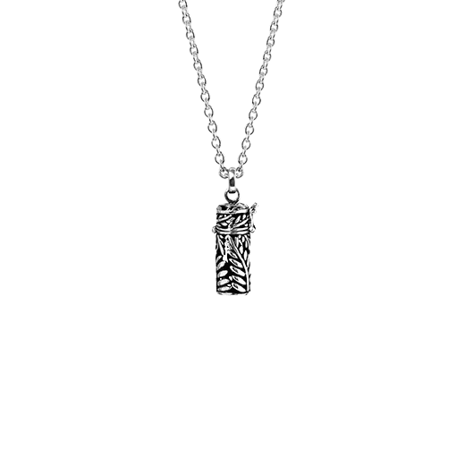 Evolve Silver Fern Locket with Chain (Natural Beauty)