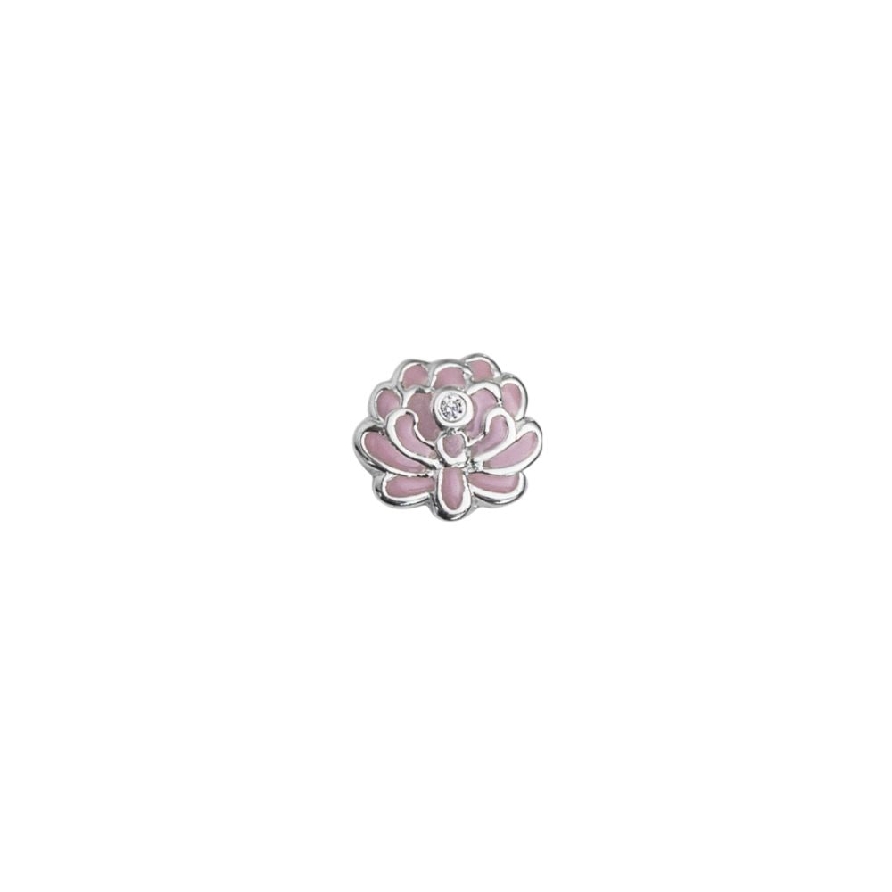 STOW November Chrysanthemum Charm (Friendship)