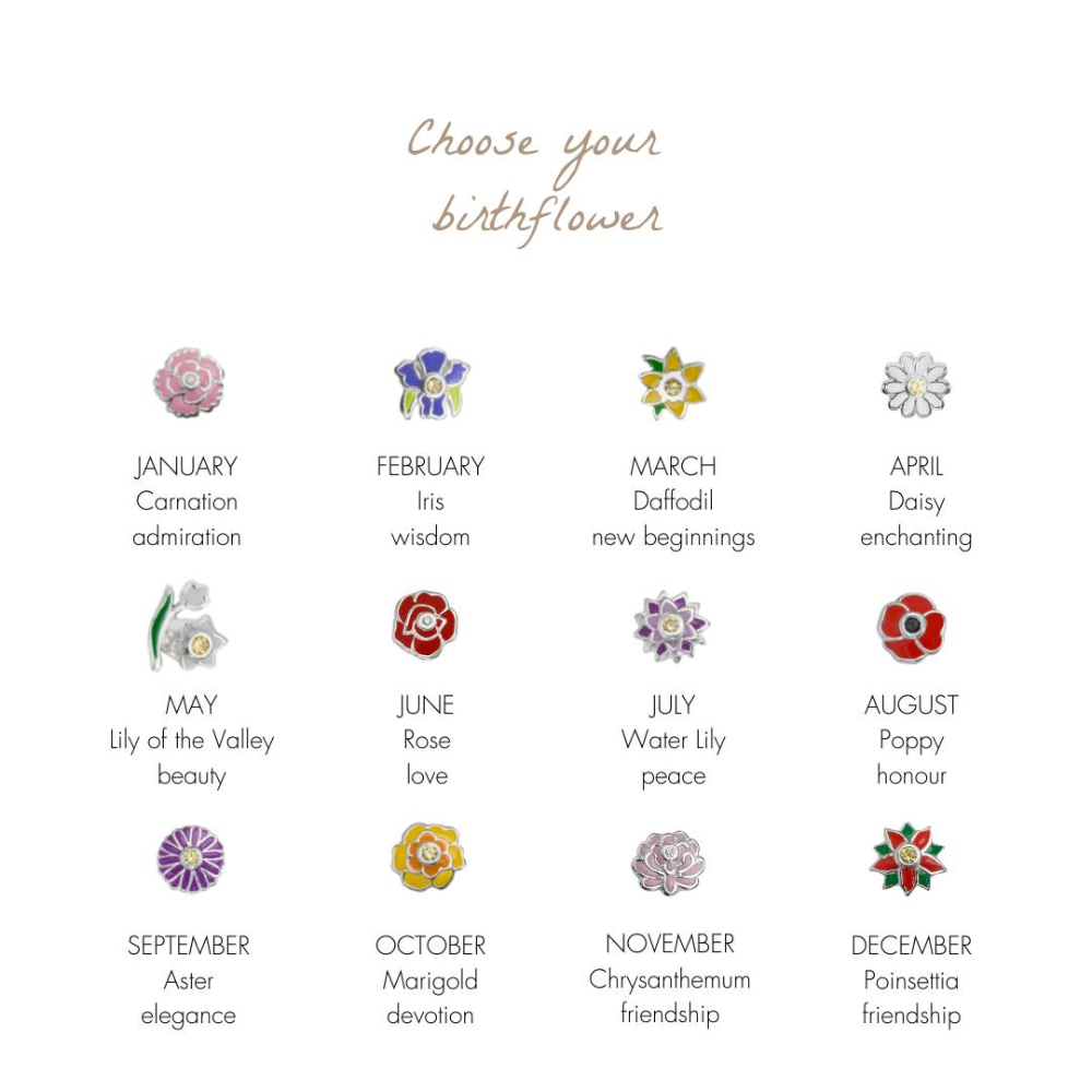 STOW November Chrysanthemum Charm (Friendship)