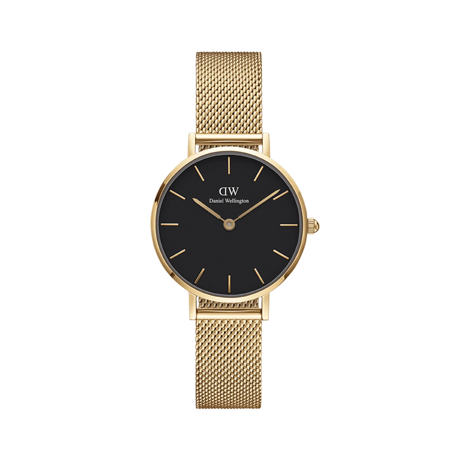 DW Petite Evergold Watch in Gold/Black - 28mm